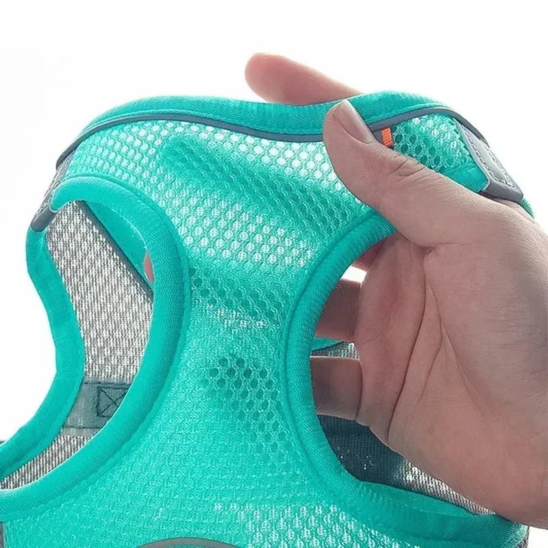 Puppy Harness Set Dog Accessories Adjustable Puppy and Cat Harness Vest French Bulldog Chihuahua Small Dog Collar Pet Leash Dogs - Asmota