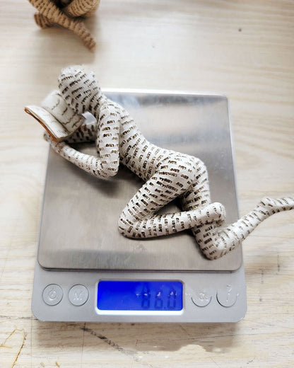 Reading Woman Thinker Resin Statue House Decoration Ornament Character Sculpture Home Decor Ornament Bookshelf Decoration - Asmota