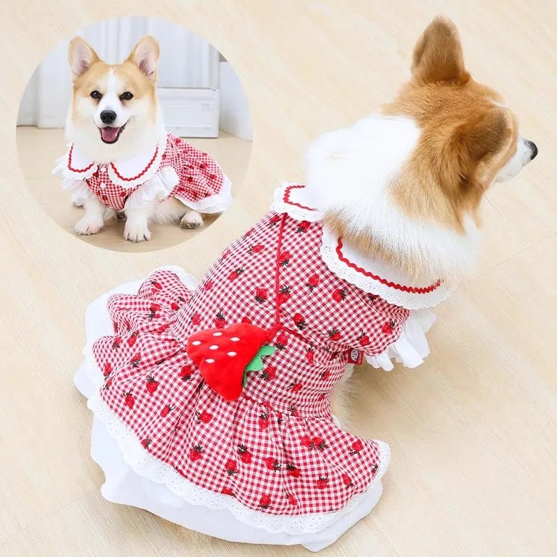 Strawberry Dress For Dogs Summer Spring Cute Plaid Female Girl Puppy Pet Cat Apparel Clothes Yorkie Chihuahua Small Medium Pugs - Asmota