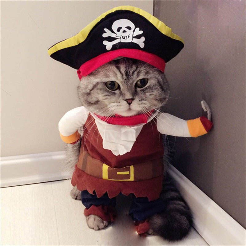 Teddy Pirate Transformed Into Pet Costume - Asmota