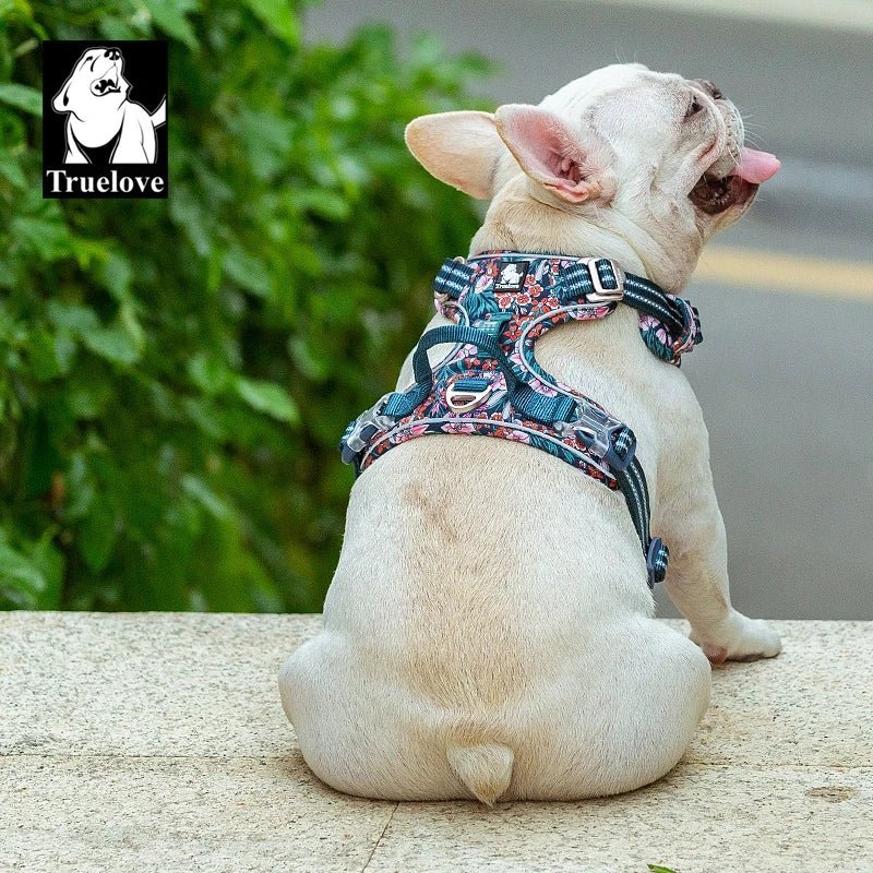 Truelove Pet Harness Small Medium Large Split Dog Fashion Outdoor Dropshipping - Asmota