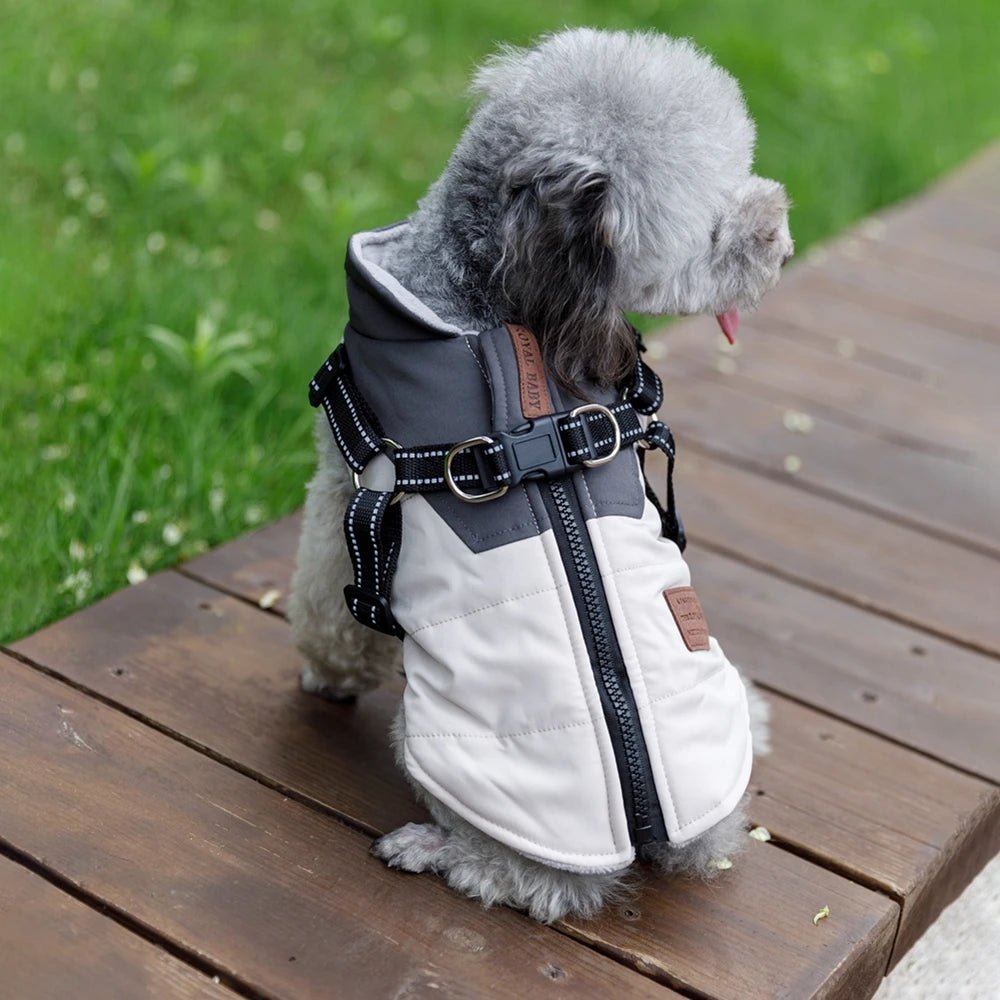 Waterproof Pet Dog Jacket With Harness Winter Warm Dog Clothes For Labrador Big Dog Coat Chihuahua French Bulldog Yorkie Outfits - Asmota