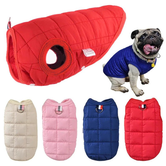 Winter Pet Cotton Jacket Warm Dog Clothes Puppy Coat For Small Medium Dogs Cats Outfit Chihuahua French Bulldog Maltese Clothing - Asmota