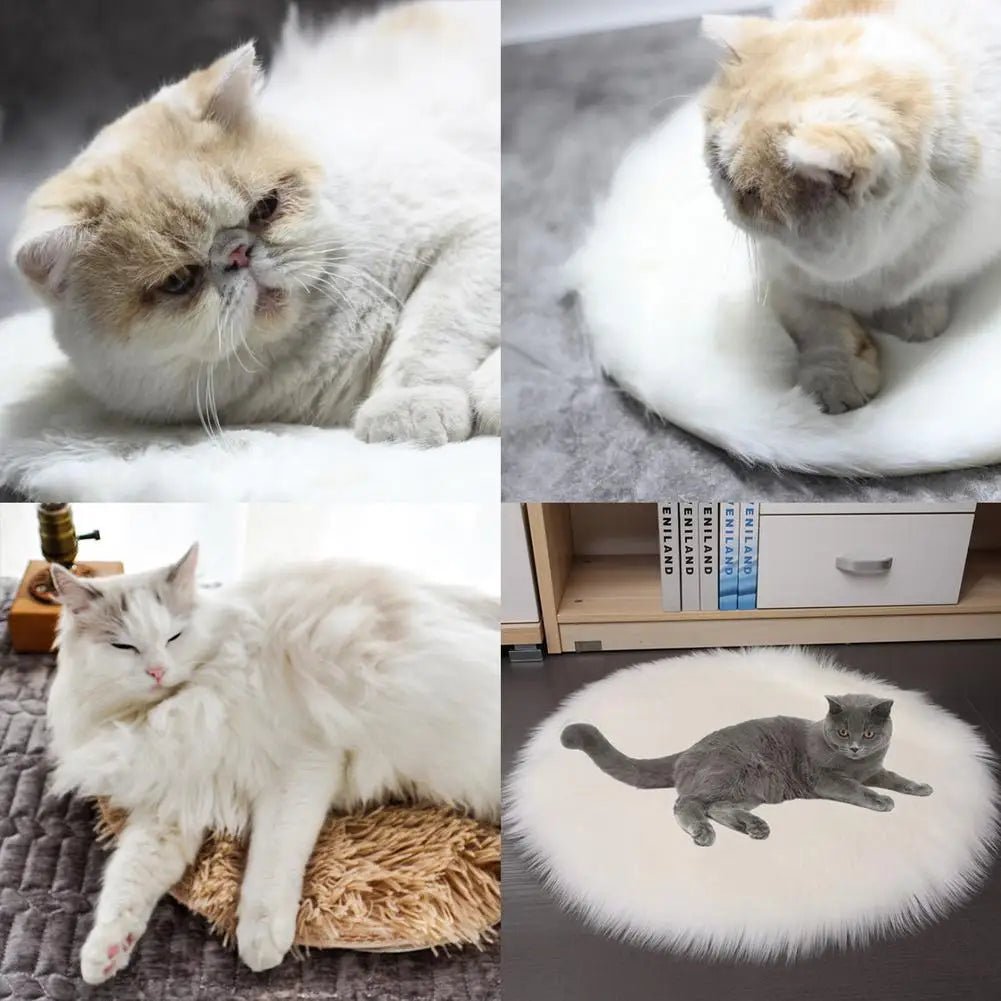 Winter Pet Electric Heating Pad Blanket Dog Cat Electric Heating Bed Plush Mat USB Charging Sleeping Blanket For Travel Dog Bed - Asmota